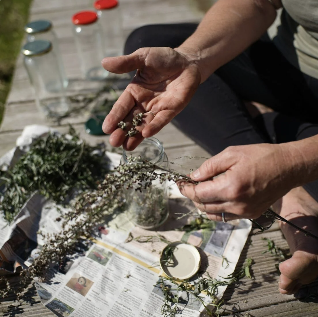 Гармония с природой